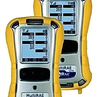 MultiRAE